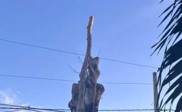 La isla de calor urbana dispara las noches tórridas en Santo Domingo: un fenómeno que se sextuplica