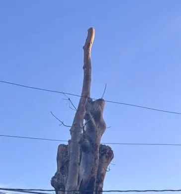 La isla de calor urbana dispara las noches tórridas en Santo Domingo: un fenómeno que se sextuplica